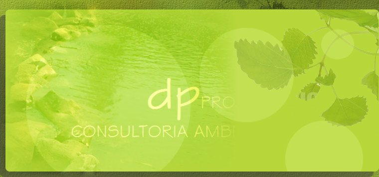 dp - Consultoria - ISO 14001 - Belém/PA