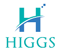 Higgs - Consultoria - Diagnóstico Empresarial - São Paulo/SP