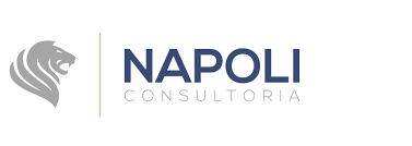 Napoli - Consultoria -  - São Paulo/SP
