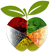 Nutrielle - Consultoria - Marketing - Rio de Janeiro/RJ