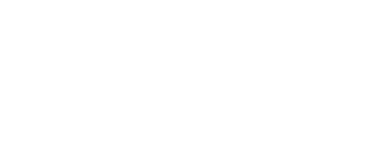 ORSINI - Consultoria - Controle de Subcapitalização - São Paulo/SP