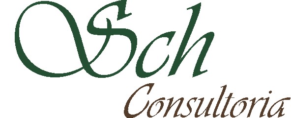 Schneck - Consultoria - Planejamento Estratégico e de Negócio - Brasília/DF