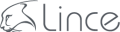 Lince - Consultoria - Gestão da Responsabilidade Social - Minas Gerais