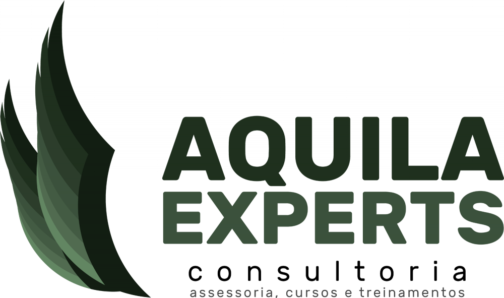 AQUILA EXPERTS - Consultoria - ISO 9001 - Ponta Grossa/PR