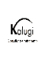 Kalugi - Consultoria - ISO 14001 - São Paulo/SP
