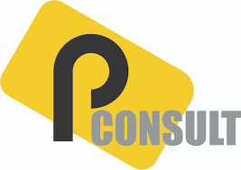 PConsult - Consultoria - ISO 9001 - Belo Horizonte/MG