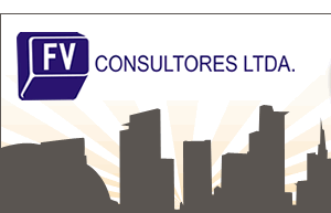 FV Consultores - Consultoria -  - São Paulo/SP