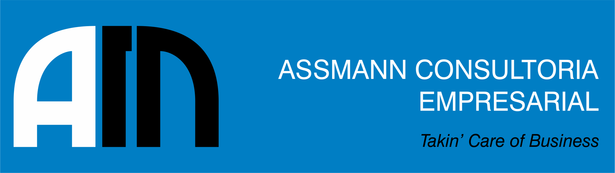 Assmann - Consultoria - Assessoria Estratégica de Negócio - São Paulo/SP