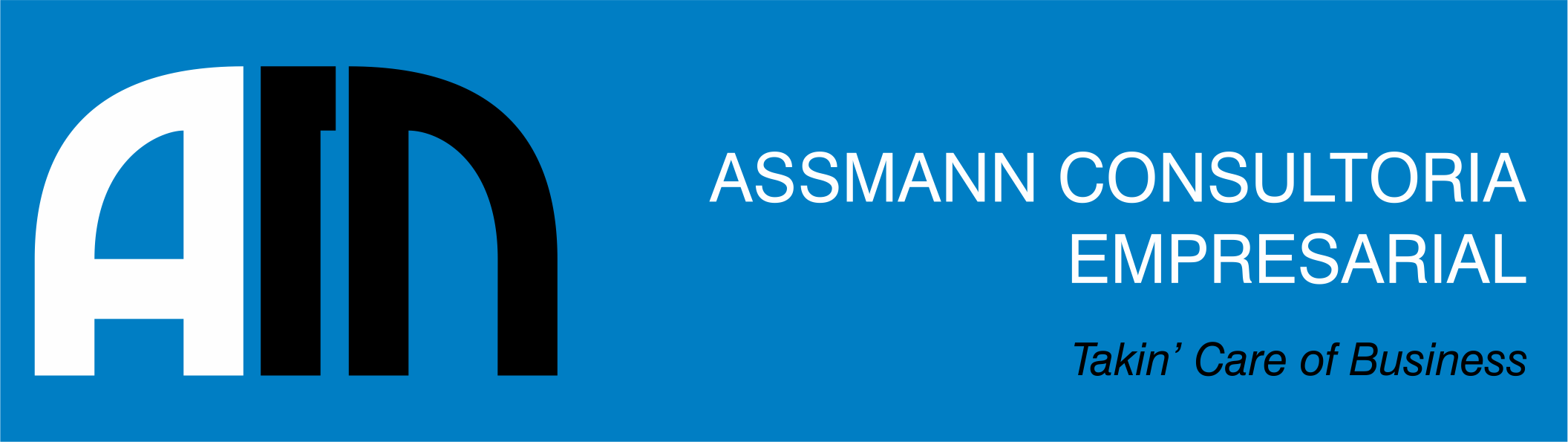 Assmann - Consultoria - Financeira e Administrativa - São Paulo/SP