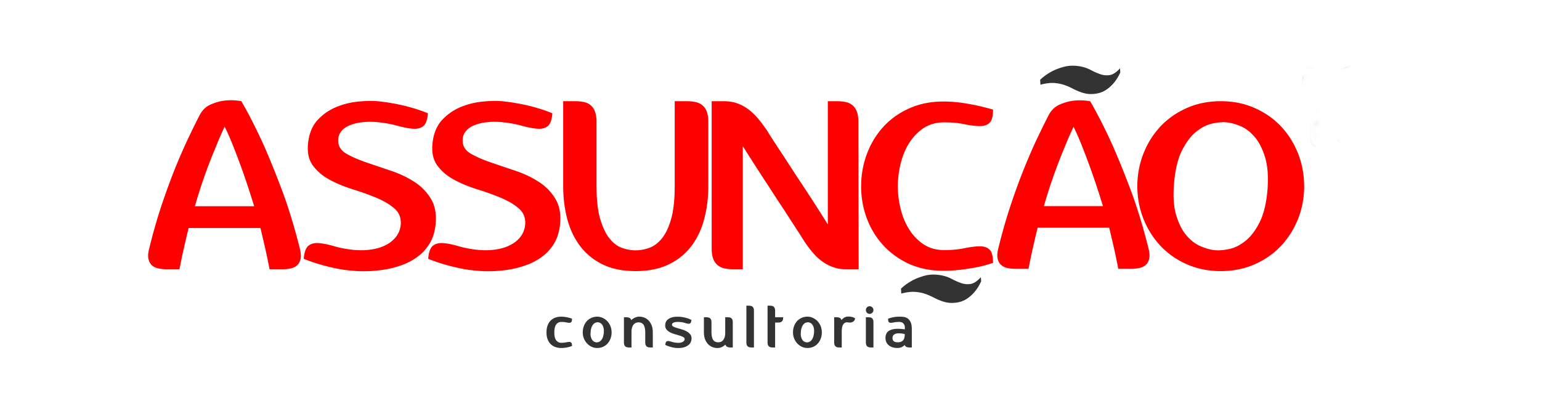 Assunção - Consultoria -  - São Paulo/SP