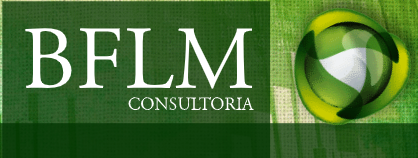 BFLM - Consultoria - Diagnósticos Setoriais - Salvador/BA