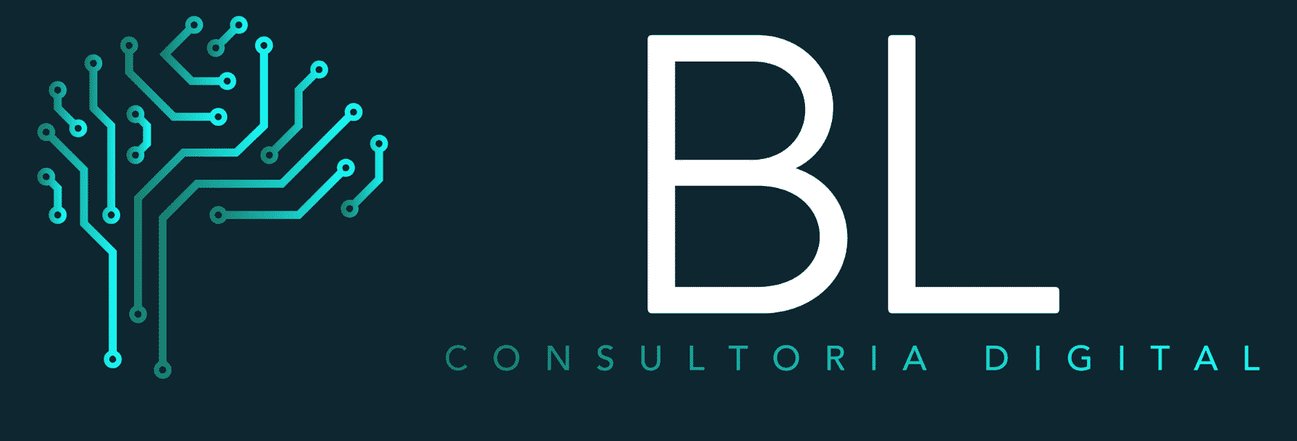 BL - Consultoria - Contratos e Novos Negócios - Campinas/SP