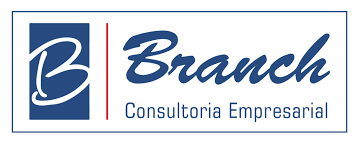 Branch - Consultoria -  - Campinas/SP