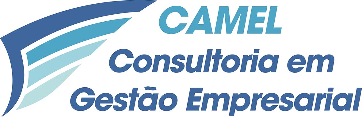 Camel - Consultoria -  - Rio de Janeiro/RJ