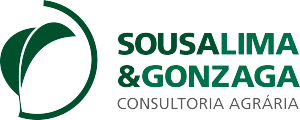 Sousa Lima e Gonzaga - Consultoria - Análise de Viabilidade - Belo Horizonte/MG